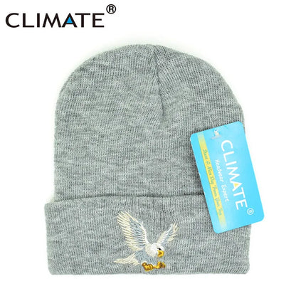 Beanie // CLIMATE Eagle