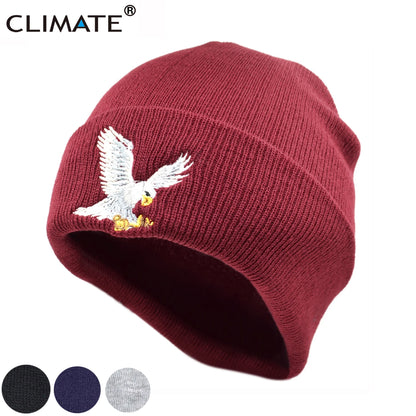 Beanie // CLIMATE Eagle