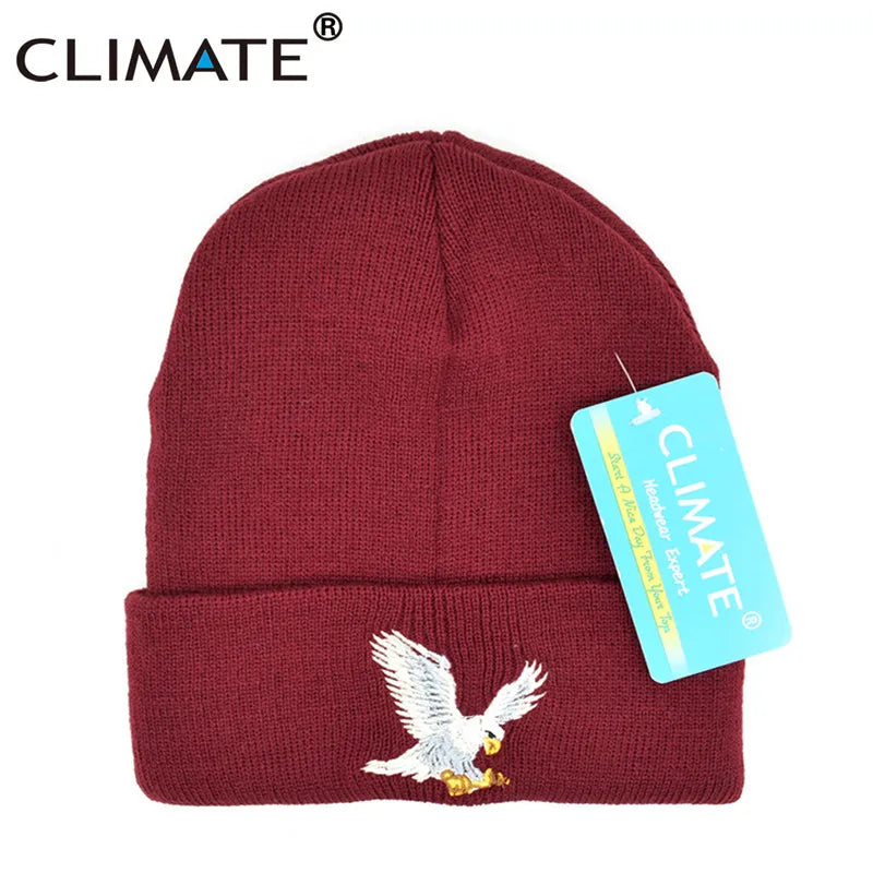 Beanie // CLIMATE Eagle