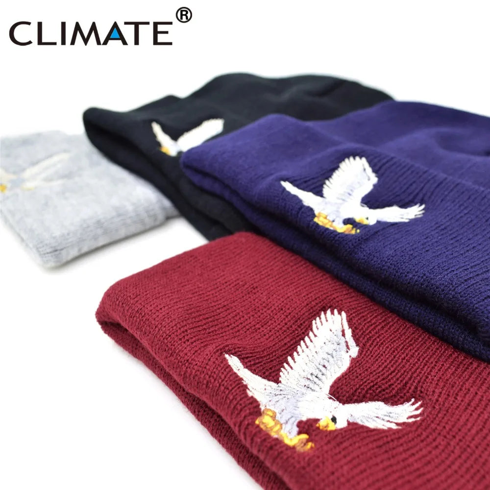 Beanie // CLIMATE Eagle
