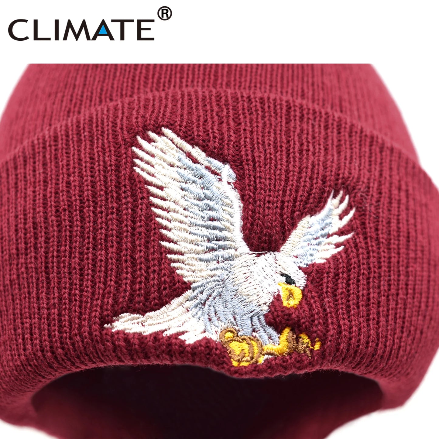 Beanie // CLIMATE Eagle
