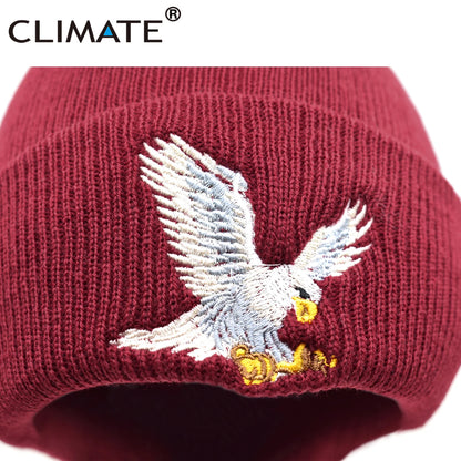 Beanie // CLIMATE Eagle
