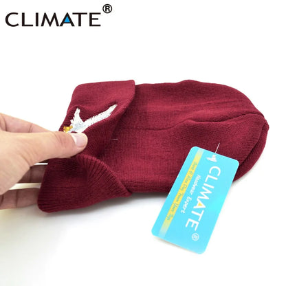 Beanie // CLIMATE Eagle